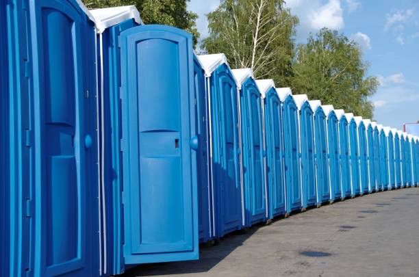 Best Luxury portable toilet rental  in Homer, MI